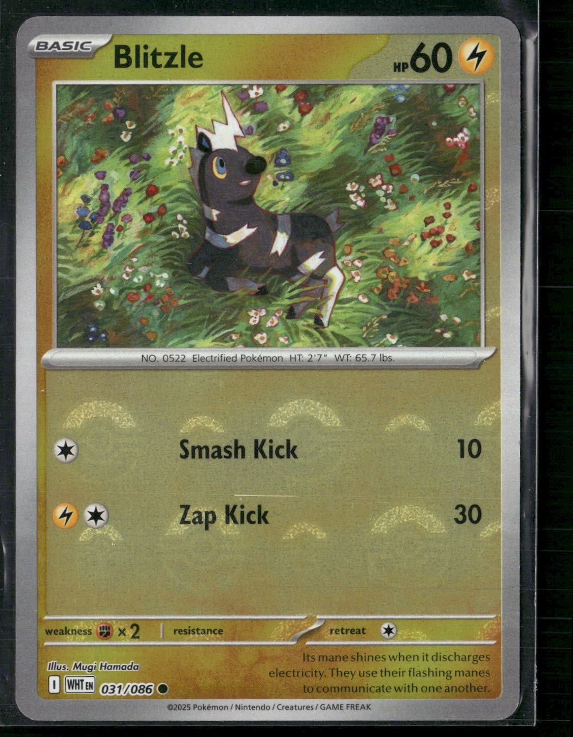 pokemon cards ash greninja Pokemon Graded: Greninja ex #132 Shrouded Fable Promo (2024) SIR Holo   Double Infinity Gaming