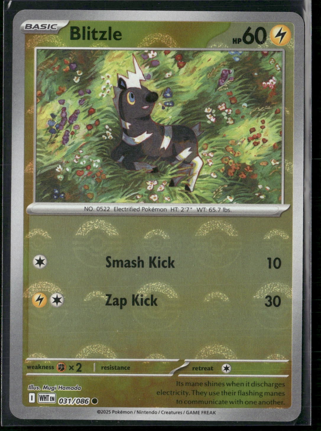 blitzle pokemon card Pokemon CardBLITZLEAR(111/086) (SV11W) Japanese Single Pokmon Hit Points70 HP Form Blitzle (Genetic Apex #105/226, 1-Diamond)
