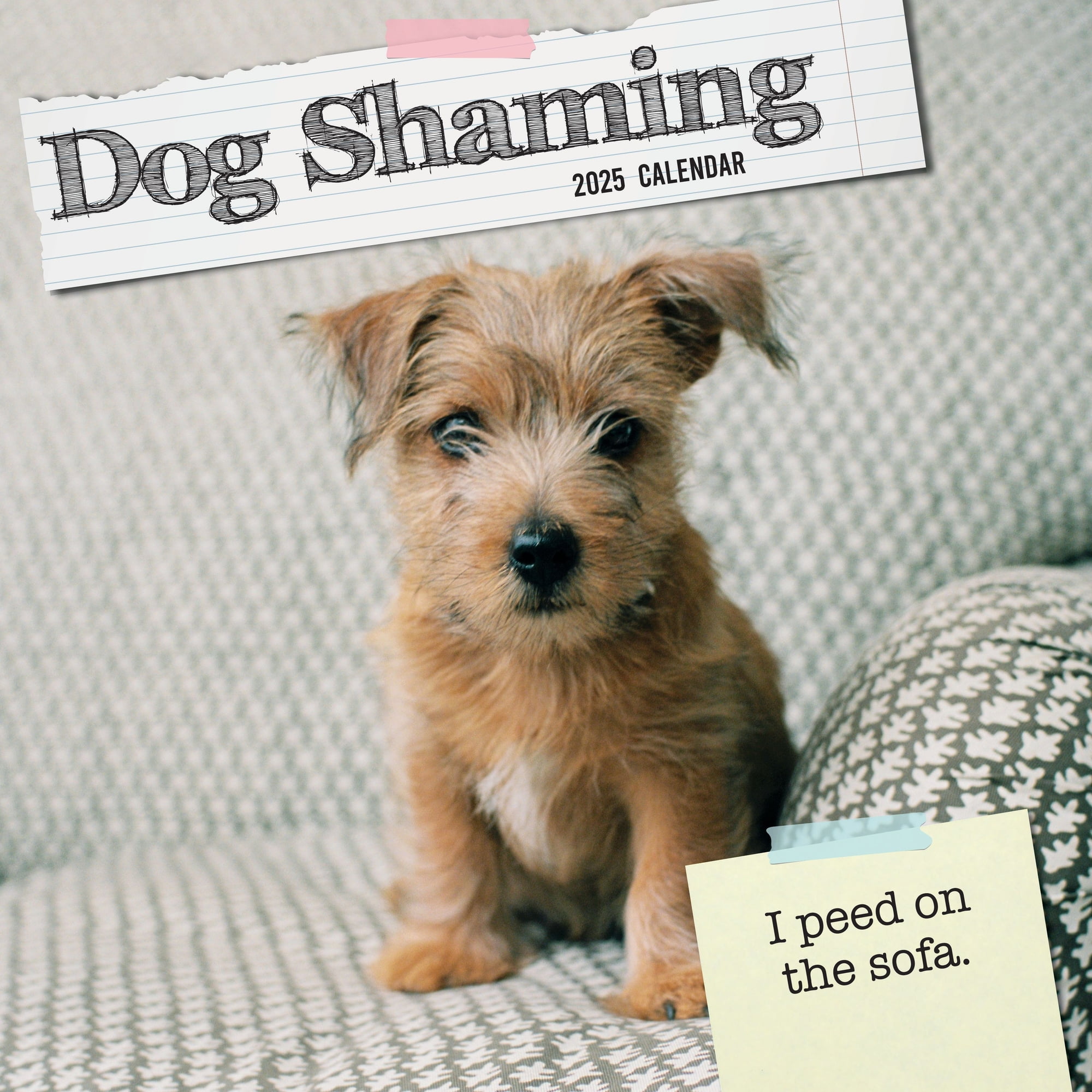 The Gifted Stationary 2025 Square Wall Calendar, Dog Shaming, 16Month