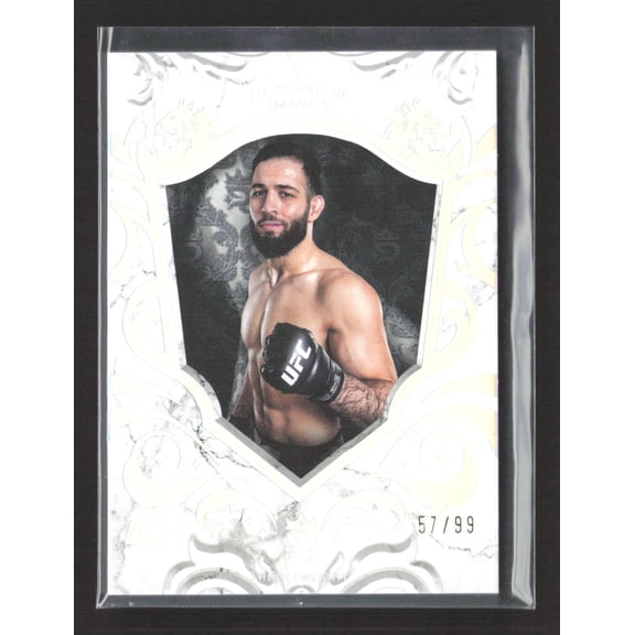 2025 Topps Midnight UFC Nassourdine Imavov #48 /99