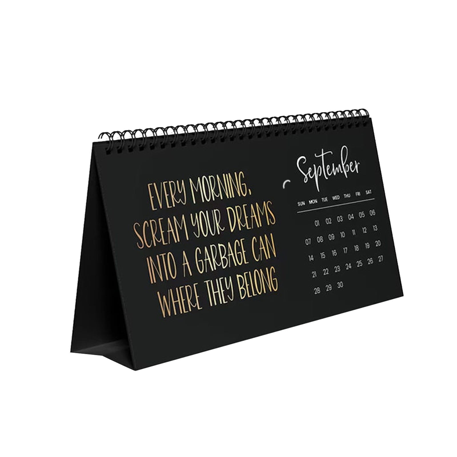 2025 Uninspiring Affirmations Desk Calendar AntiMotivational Quotes