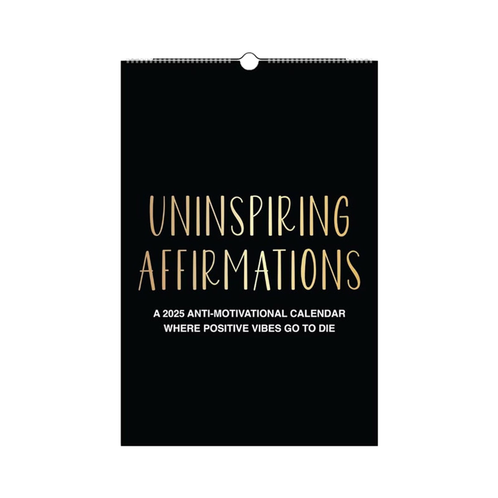 2025 Uninspiring Affirmations Wall Desk Calendar AntiMotivational