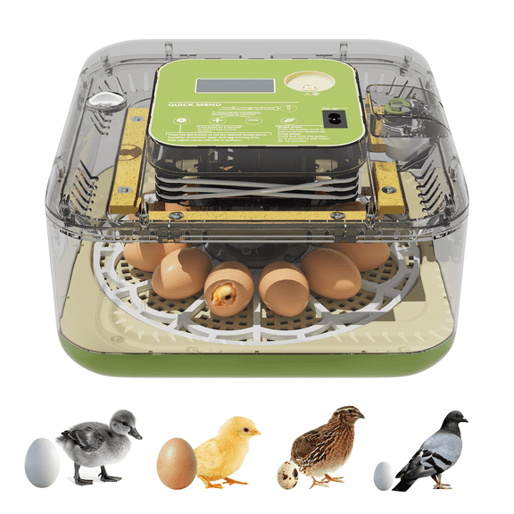 [2025 Upgrade Edition] Incubator - 12-egg capacity, automatic egg turning function, temperature and humidity control, full-process visualization, suitable for chicken, duck, and quail eggs.