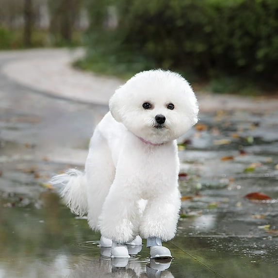 2025 Upgraded All-Weather Pet Boots Hot Pavement Dog Cat Shoes Non- Durable Outdoor Indoor Use