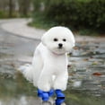 thumbnail image 1 of 2025 Upgraded Dog Boots Hot Pavement Non- Wear- Pet Shoes for Outdoor Indoor Use, 1 of 3