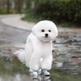 thumbnail image 1 of 2025 Upgraded Dog Boots Hot Pavement Non- Wear- Pet Shoes for Outdoor Indoor Use, 1 of 4
