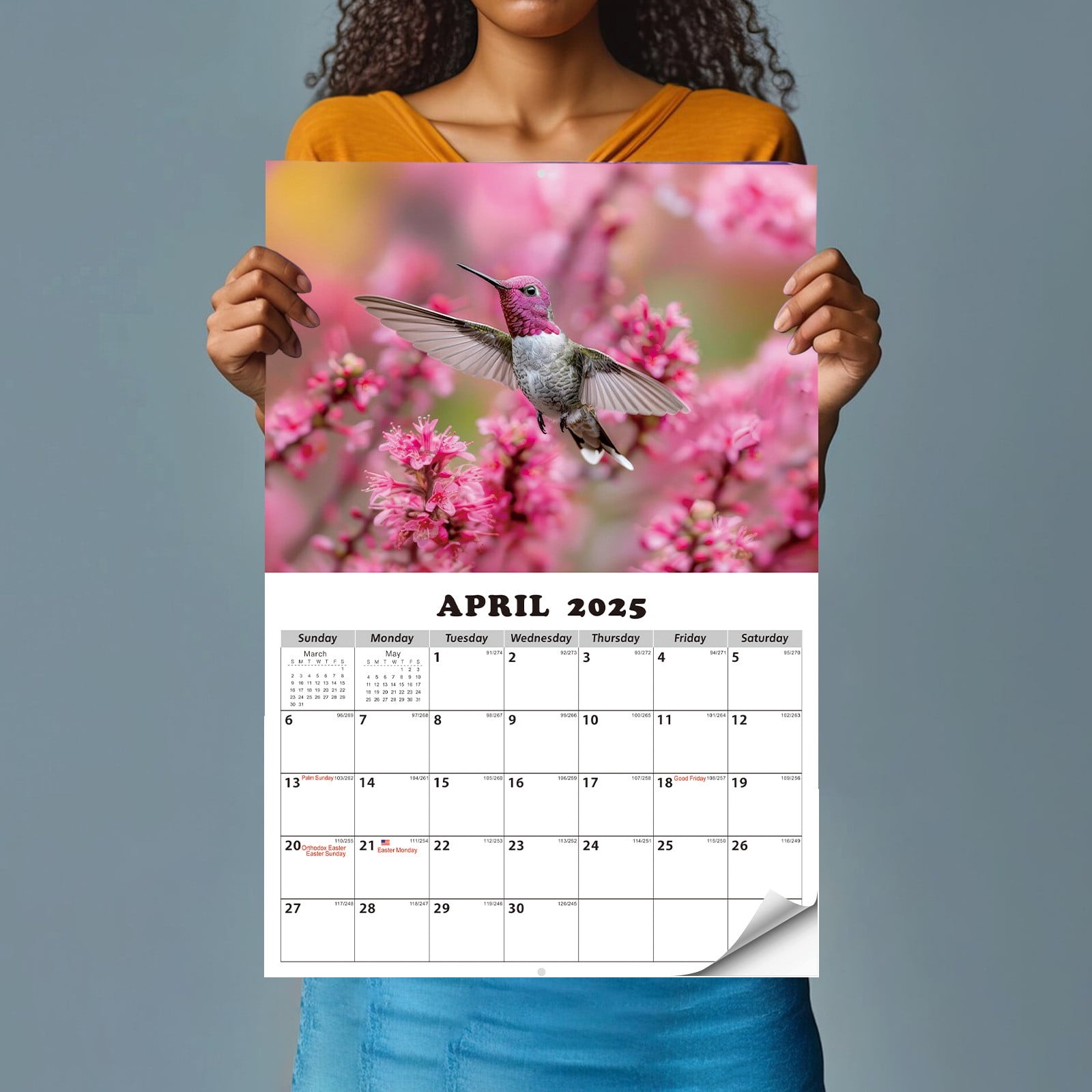 2025 Wall Calendar,Calendars 20252026 Planners & Organizers,Calendars