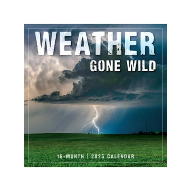 2025 Weather Gone Wild Wall Calendar