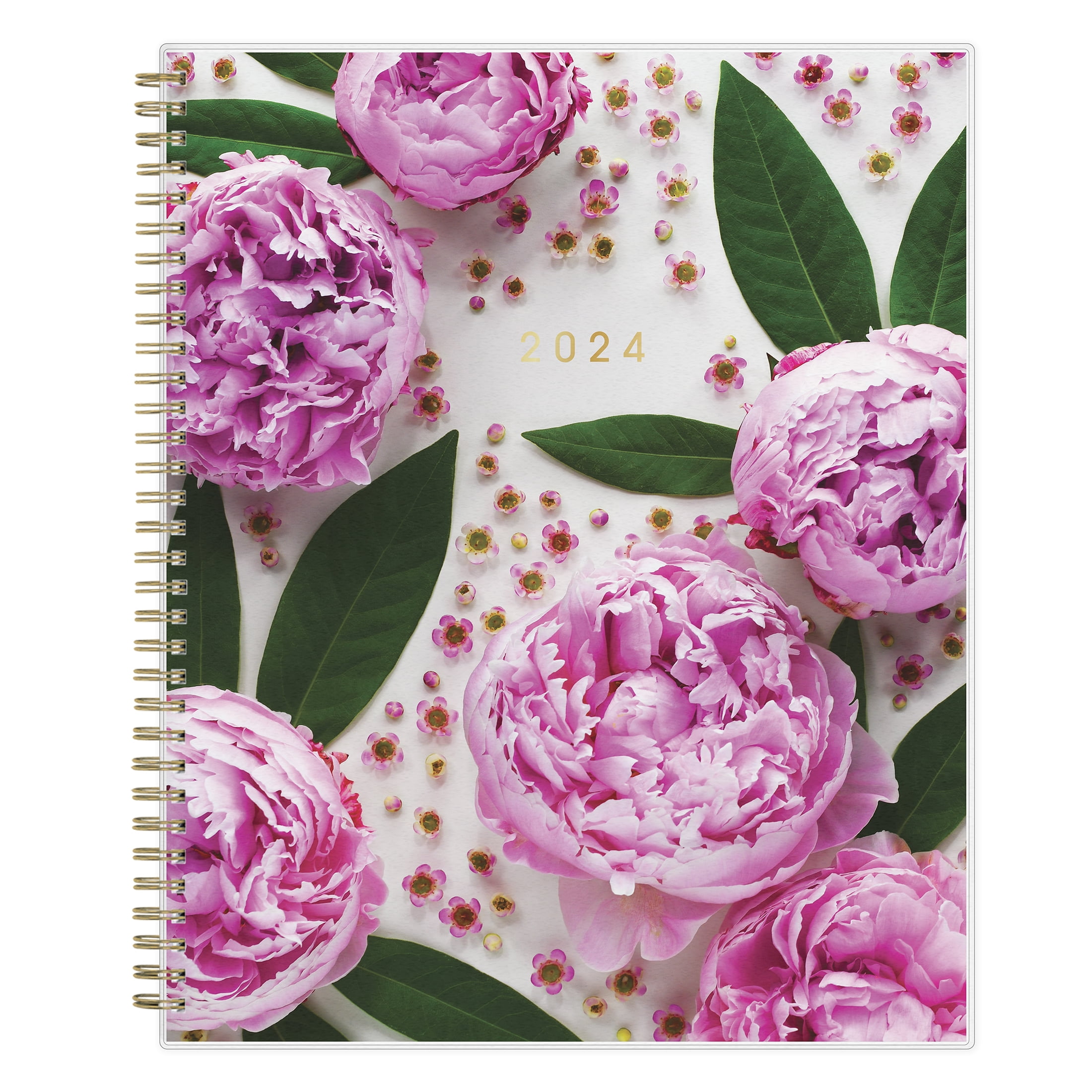 Blue Sky Planners 2025 Walmart