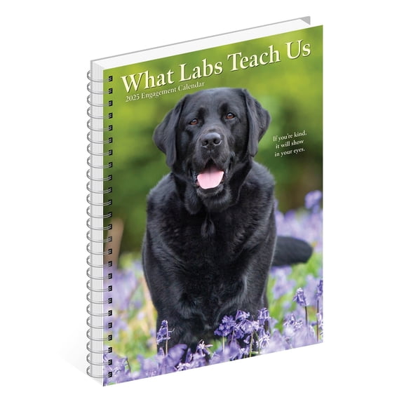 2025 Willow Creek Press Weekly Engagement Planner, 6-1/2" x 8-1/2" , What Labs Teach Us, January 2025 to December 2025, 46210