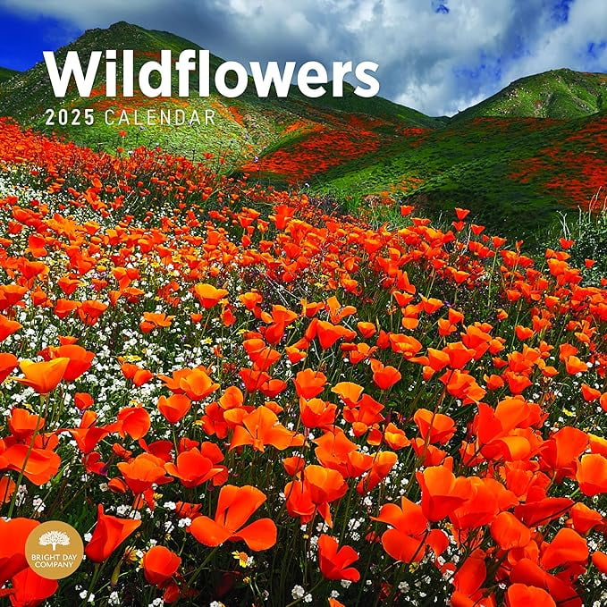 2025 Wildflowers Monthly Wall Calendar by Bright Day, 12 x 12 Inch Beautiful Landscape Photography Gift