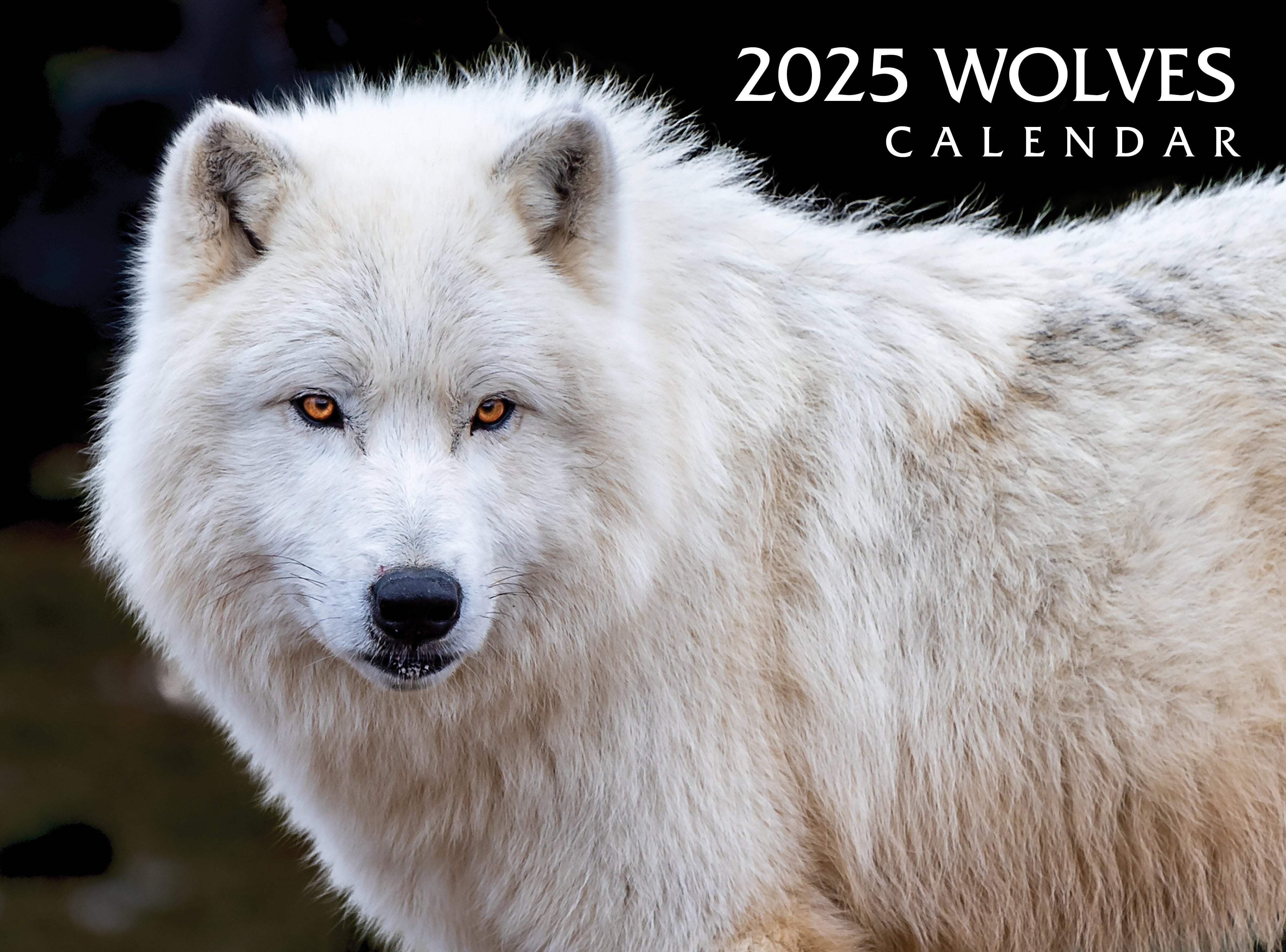 Wolves Calendar