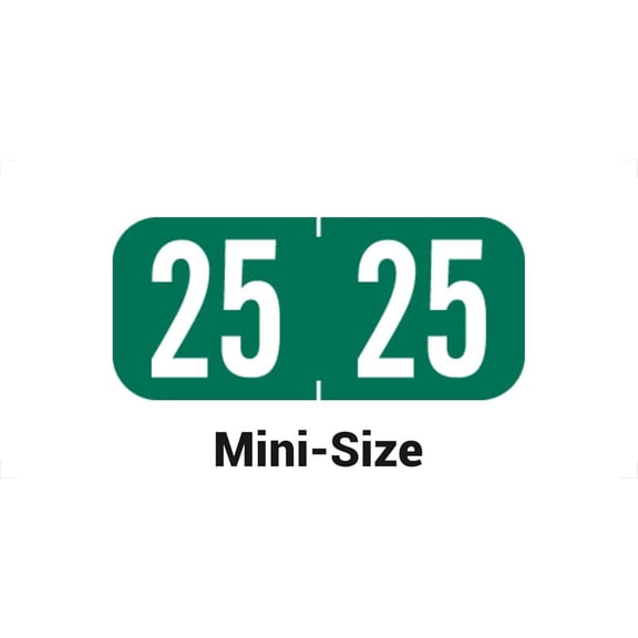 2025 Year Stickers,  2025 Chart Stickers, Green Color Coded, Tab 1287 , Made Year Labels for End Tab File Folders, 500 Labels/Roll in a Dispenser Box, 1/2" x 1-1/8"