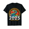 2025 chinese new year picture