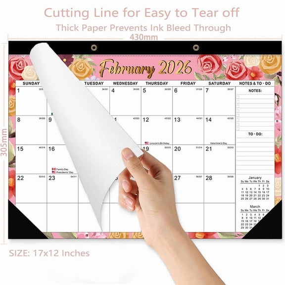 2026 - 2027 Desk & Wall Calendar (Jan 2026 - Jun 2027) Use Thick Paper Planning Calendar for Home & Office, Marked with Major Holidays, Perfect for Daily Schedules, Appointments, 17*12in