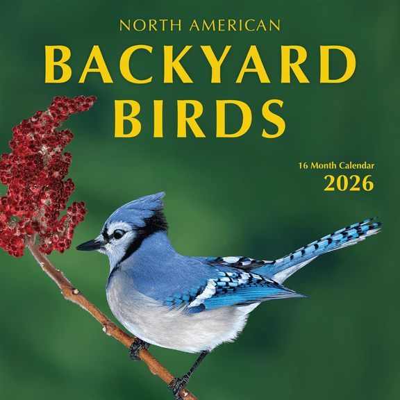 2026 Backyard Birds Hangable Wall Calendar Monthly Beautiful Wildlife Bird Photo Birder Watching Gift Forest Nature Photography Secret Santa Office (2026 Backyard Birds)
