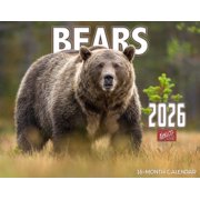 2026 Bears Wall Calendar 16-Month X-Large Size 14x22, Grizzly, Brown, Black Bears Calendar by The KING Company-Monster Calendars