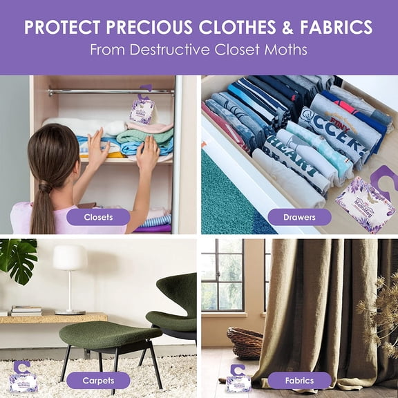 2026 Best 6 Count Pheromone Clothes Moth Traps, Extra Strength Sticky Adhesive Glue Moth Catcher for Closets, Fabrics, Carpets Indoor Moth Control