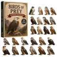 thumbnail image 1 of 2026 Bird Species Christmas Advent Calendar, 24 Unique Bird Ornaments Countdown Set for Holiday Tree Decor,black, 1 of 9