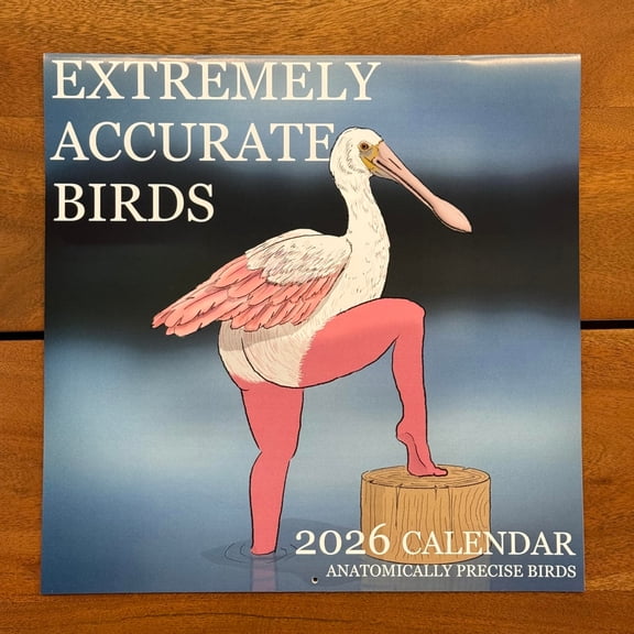 2026 Calendar by Tommy Siegel Extremely Accurate Birds