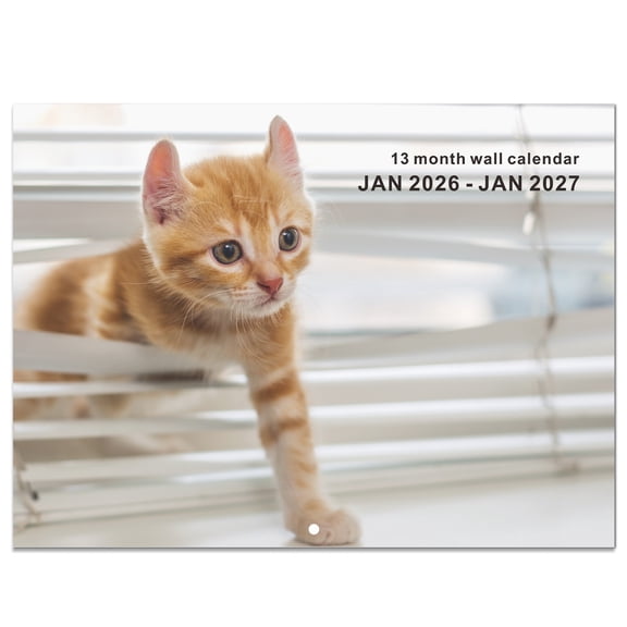 2026 Cat Calendar A3 Wall Calendar,16 Cute Monthly Kitten Photos, Thick Paper, Large Daily for Planning, Home Office Decor, Jan 2026-Jan 2027