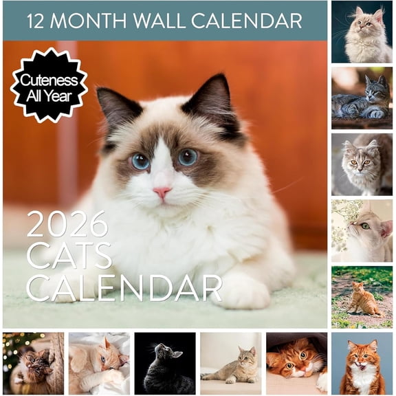 2026 Cat Wall Calendar | Large 12" x 24" Cute Calendar with Different Cats Every Month, Fun Calendar for the Cat & Kitten Lover, Great Hanging Wall Calendar for Women & Men