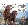 thumbnail image 1 of 2026 Chocolate Labrador Dog Wall Calendar 16-Month X-Large Size 14x22, Chocolate Lab Dog Calendar by The KING Company-Monster Calendars, 1 of 6