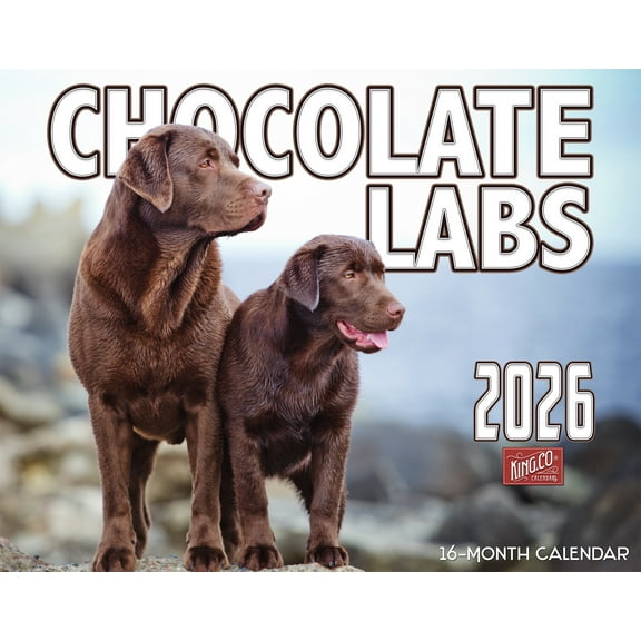 2026 Chocolate Labrador Dog Wall Calendar 16-Month X-Large Size 14x22, Chocolate Lab Dog Calendar by The KING Company-Monster Calendars