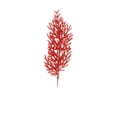 thumbnail image 1 of 2026 Christmas Indoor Home Decor Gold-Glittered Leaf Spray Christmas Decoration And Artificial Colorful Foliage And Home Decor, 1 of 5