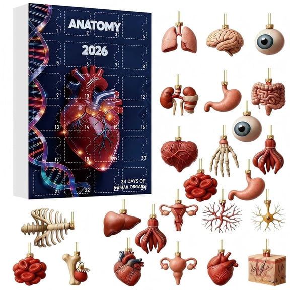 2026 Christmas Organ Advent Calendar, 24pcs Acrylic 2D Human Anatomy Design Hanging Ornaments Set for Christmas Tree Decor, Holiday Gift for Biology Lovers & Medical Students