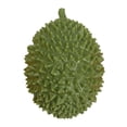 thumbnail image 1 of 2026 Edition Premium Spiky Durian Fruit Squeeze, Stretchy Tropical Fidget Squeeze, Hand-Pinching Sensory Toys, Soft Squeeze Decompression Dough for Adults, 1 of 8