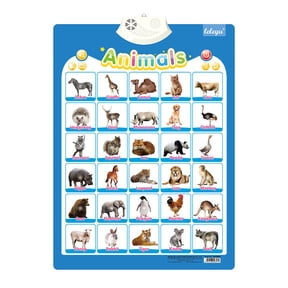 2026 Electronic Animals Wall Chart For Kids Learning English Words Poster Interactive Toy Quiz