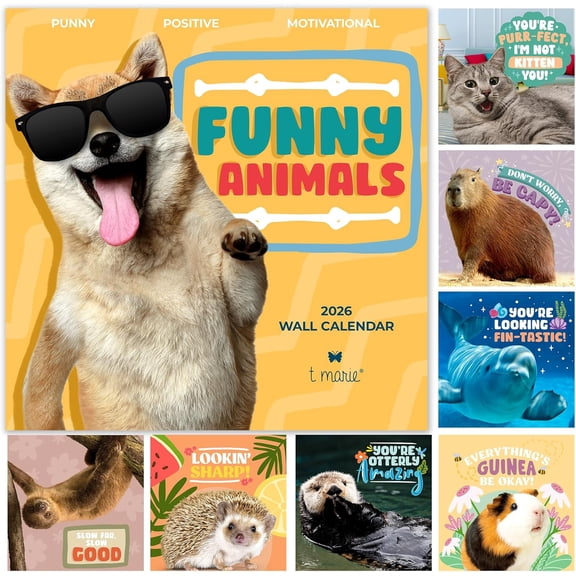 2026 Funny Wall Calendar - Monthly 12x12 Punny Calendar With Cute Animal Memes and Motivational Puns - Clean Humor for Home and Office - Funny Gifts and Kids Friendly Dad Jokes