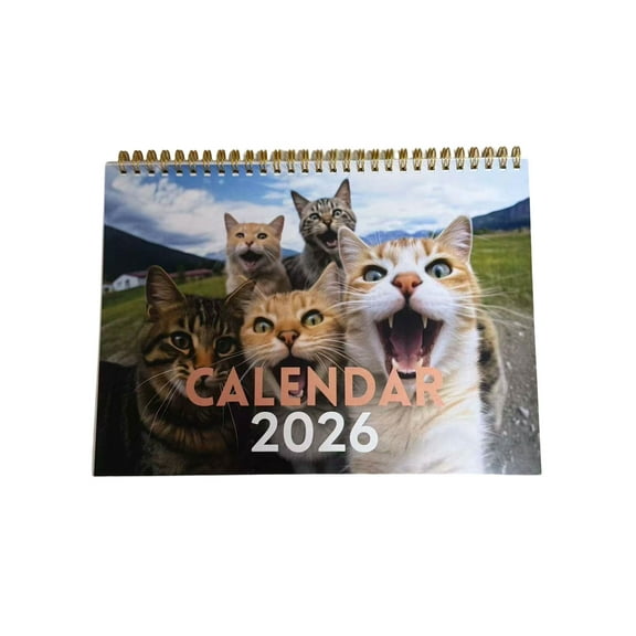 2026 'Fur Friends' Wall & Desk Calendar Collection - Adorable Cat-Themed Dual Calendar Set (25.5cm x 18.5cm)