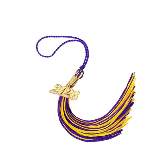 2026 Graduation Double Color Tassel Purple and Gold with Gold Date Drop Charm Class of 2026 Grad Tassels for Cap Decorations High School Graduation Gift for Her