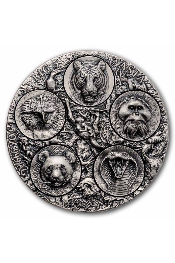 2026 Ivory Coast 5 oz Silver Big Five Asia Completer Coin