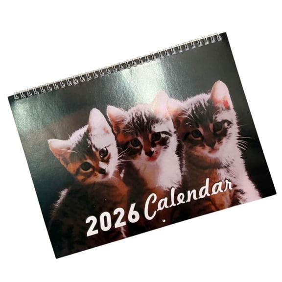 2026 Kitten Theme Wall Calendar Planner With Unlined Daily Blocks and Date Highlight from Jan to Dec For Home Desk