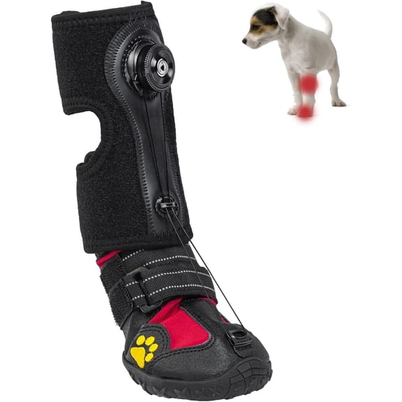 2026 No Knuckling Boot Brace Drop Foot Brace with Reel for Dog - Corrective Dog Shoes to Safely Lift Toes for Foot Issues, Improving Walking Gait in Dogs
