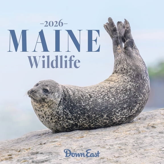 2026 Maine Wildlife Wall Calendar, (Paperback)