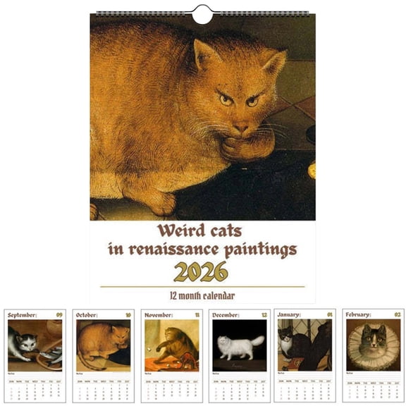 2026 Medieval Cats Calendar, Creativity Medieval Theme Art Illustrated Calendar, Weird Cats Calendars Art Decor, Funny New Year Gift for Arts Lovers