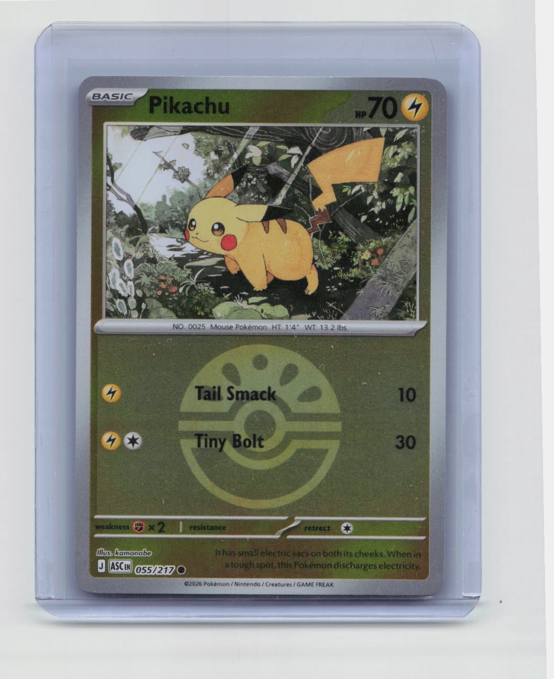 Pikachu Mega Evolution