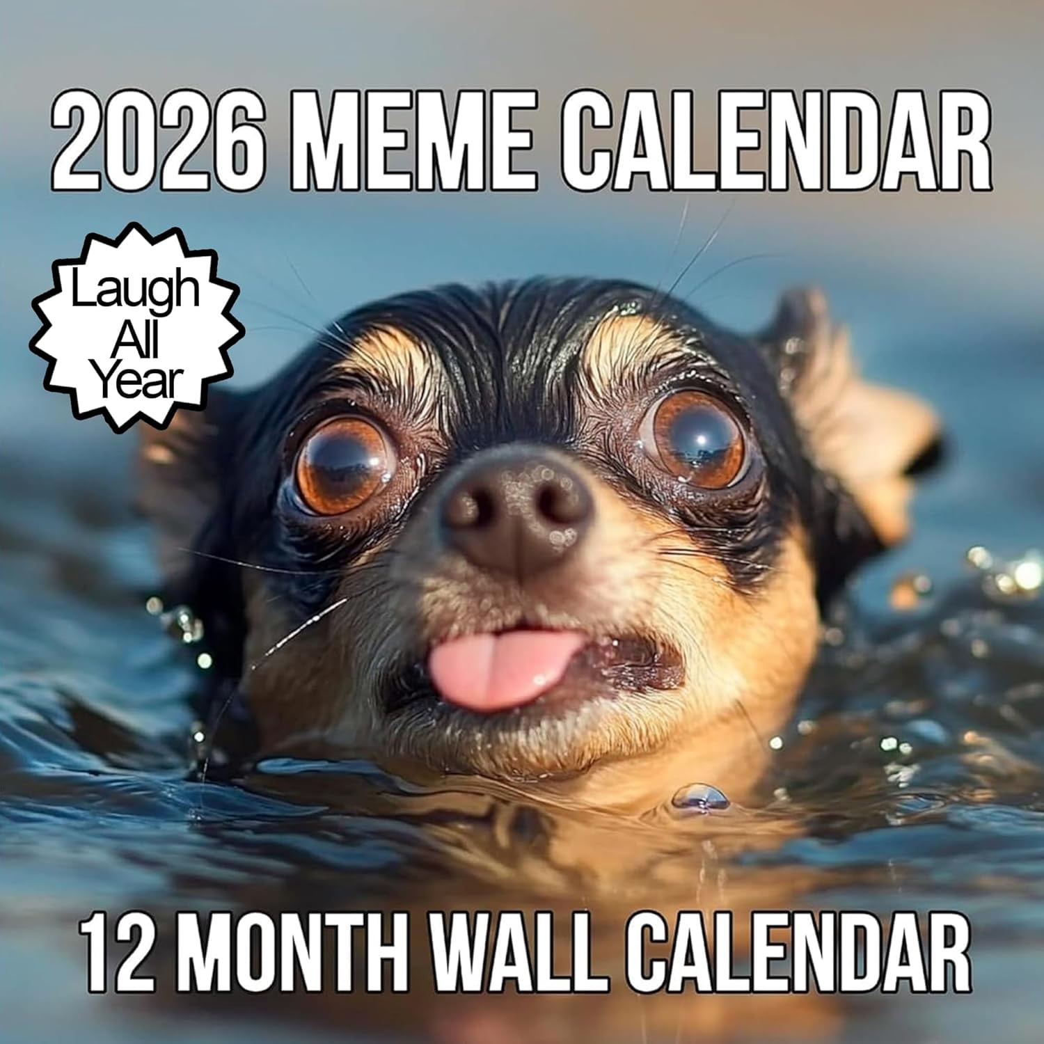 2026 Memes Wall Calendar | 12 Months of Hillarious Memes/Jokes to Keep ...