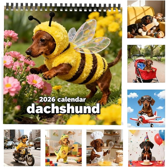 2026 Monthly Wall Calendar, Cute Dachshund Hanging Wall Calendar 12 Month, 8.2x 11 Inch Open | Plastic-Free | Thick & Sturdy Paper | Animals Dog Breeds Puppy(A)