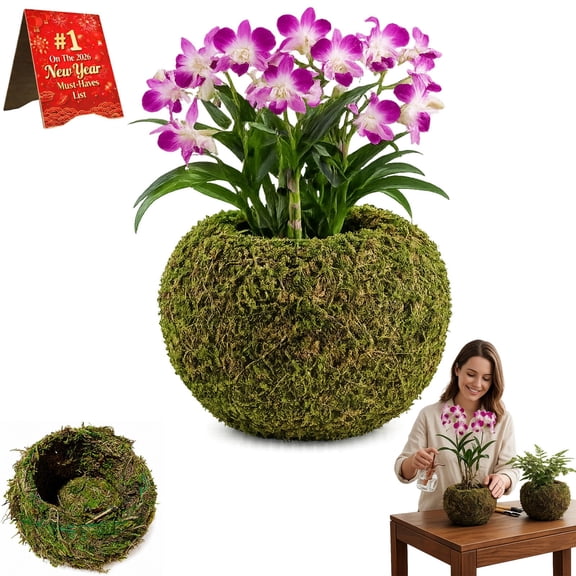 2026 Moss Ball Flower Pot, 3.5/4.7/5.9in Moss Ball Planter, Preformed Mosses Balls, Bird Nest Shape Green Bonsai Plant Holder for DIY Gardening Home Table Decoration