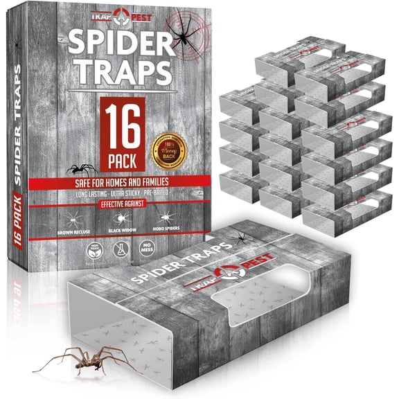 2026 New 16 P cs Sticky Bug & Spider Traps, P re-Baited Glue Boards, Practical Indoor Insect Traps for Home Use