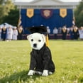 thumbnail image 1 of 2026 New Dog Outfit, Dog Graduation Cap and Gown Set for Small to Medium Dogs & Cats, Washable Formal Pet Graduation - Dog (Classic Black, S), 1 of 4