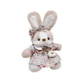 thumbnail image 1 of 2026 New Easter Bunny Plush Toys, Easter Bunnies Stuffed Animals Toys Easter Decor Soft Pillow Toys, Hugging Sleeping Doll Cartoon Rag, Best Gifts for Bunny Easter Holiday Birthday (Bunny, C), 1 of 2