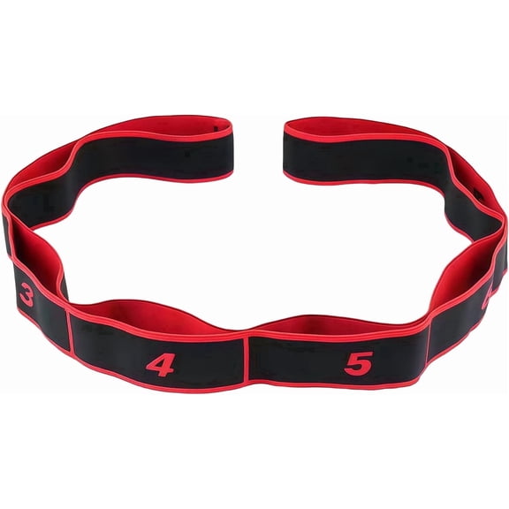 Resistance Bands for Working Out, 8-Segmented Design, Stretch Bands for Exercise, Yoga Pilates Dance Flexibility Training