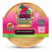 2026 New Giant Glitter Dumpling Mystery Dumpling Watermelon Edition Squishies Box for Stress Relief, Surprises