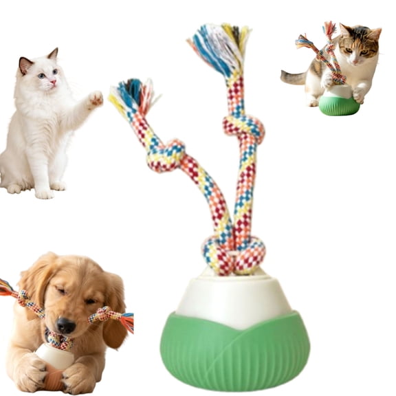 2026 New Interactive Dog Toys, Automatic Moving Interactive Toy, 3 Speed Modes, Smart Motion Rolling Ball with Tail Rope, Indoor for Small Medium Large Dogs